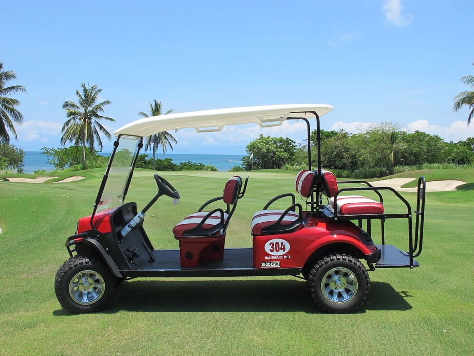 6 passenger golf cart (purchased in july 2016)

