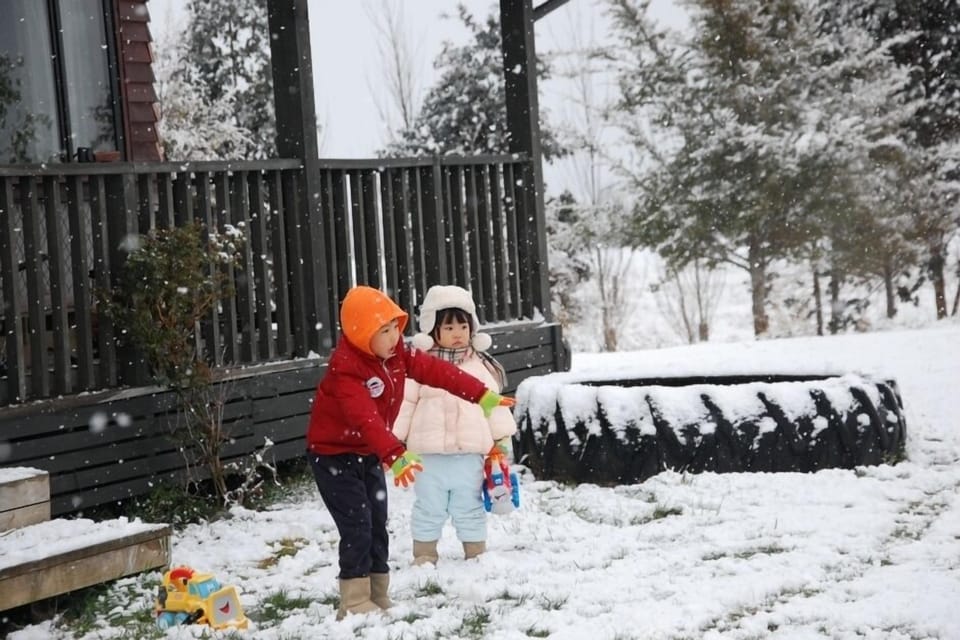 Playing in the snow