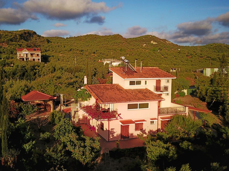 Back view of the house and surrounding gardens 