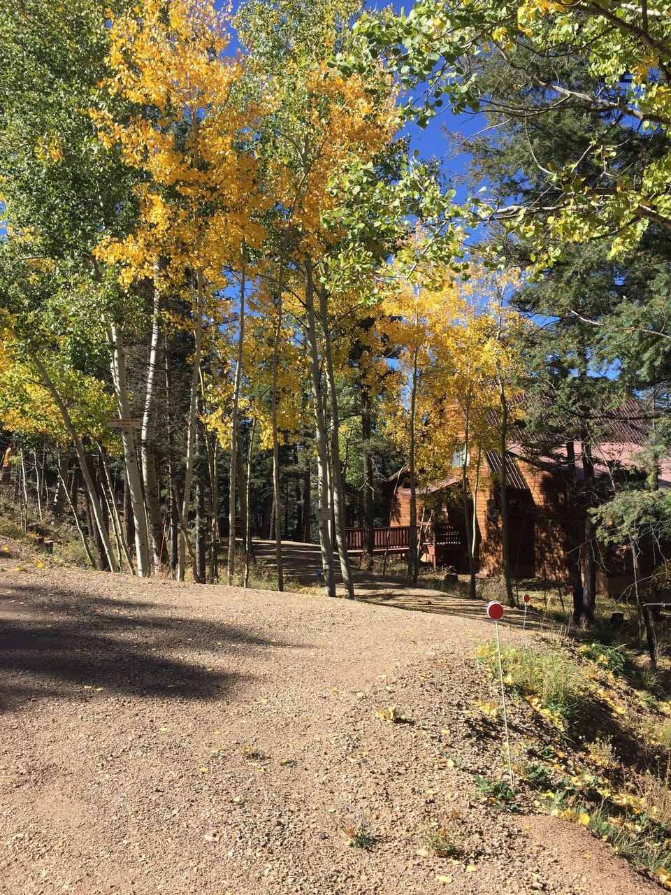 Fall Colors