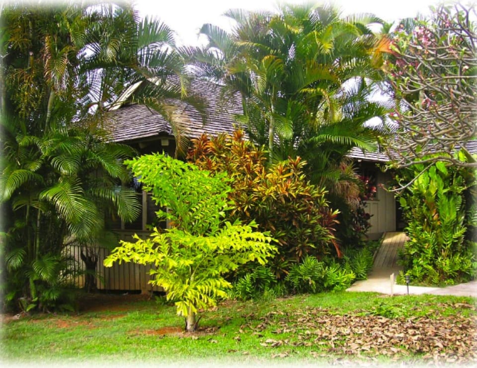 Side Yard View with Wheelchair Ramp to porch-Note: old ramp  shown-see new below