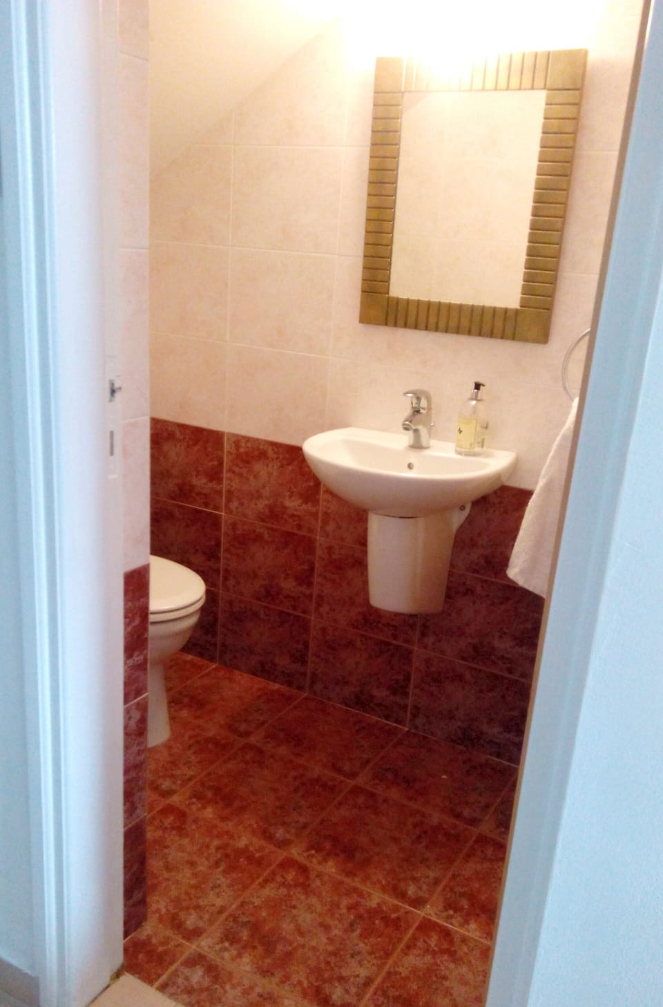 Downstairs cloakroom
