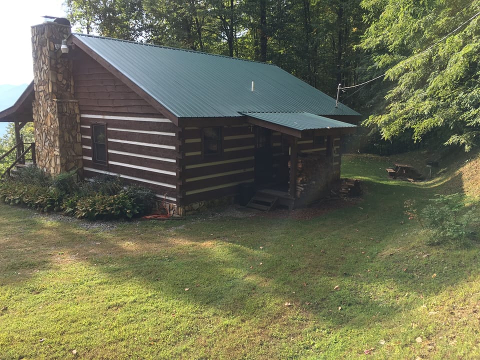 Backyard showing picnic table and grill