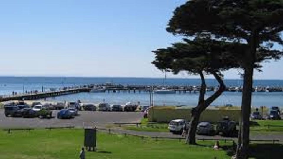 Marina where the ferry docks.  Also buy fresh mussels from the pier