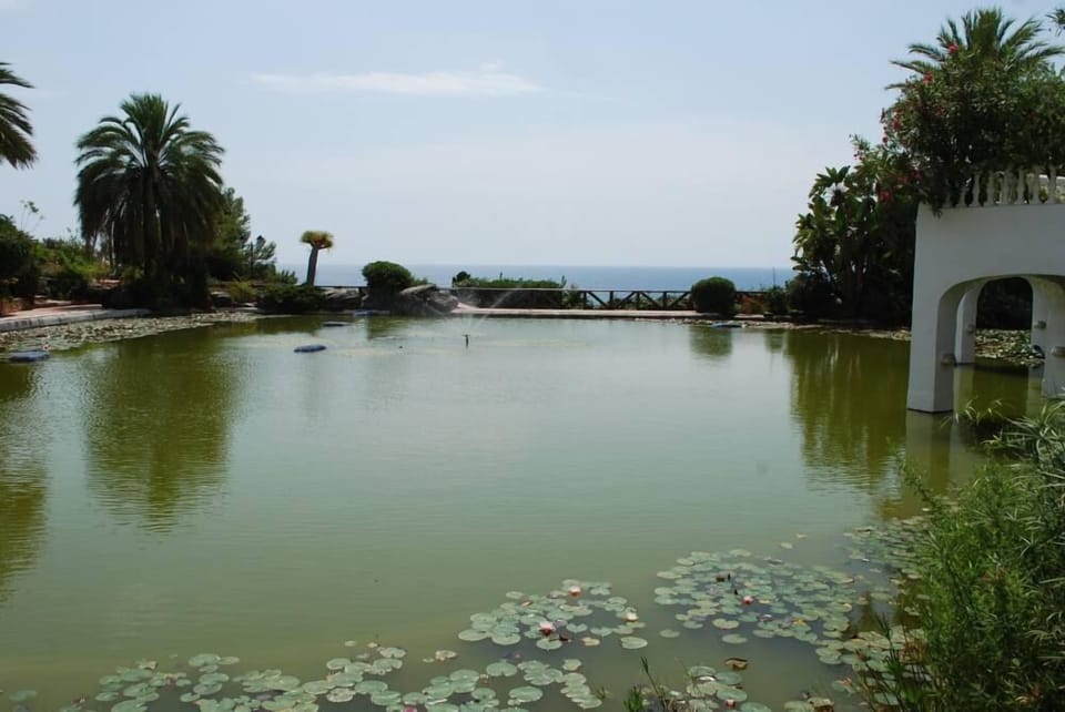 Lake