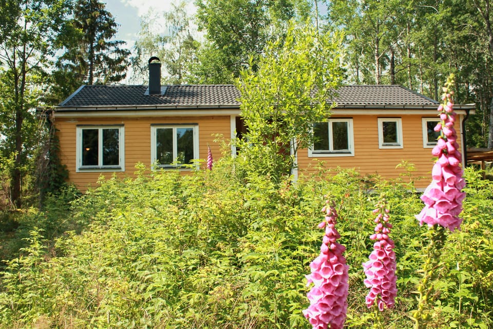 Front of the house