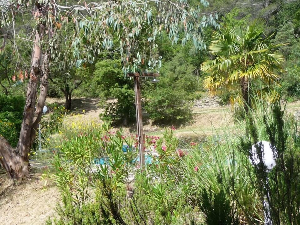 Garden, Park