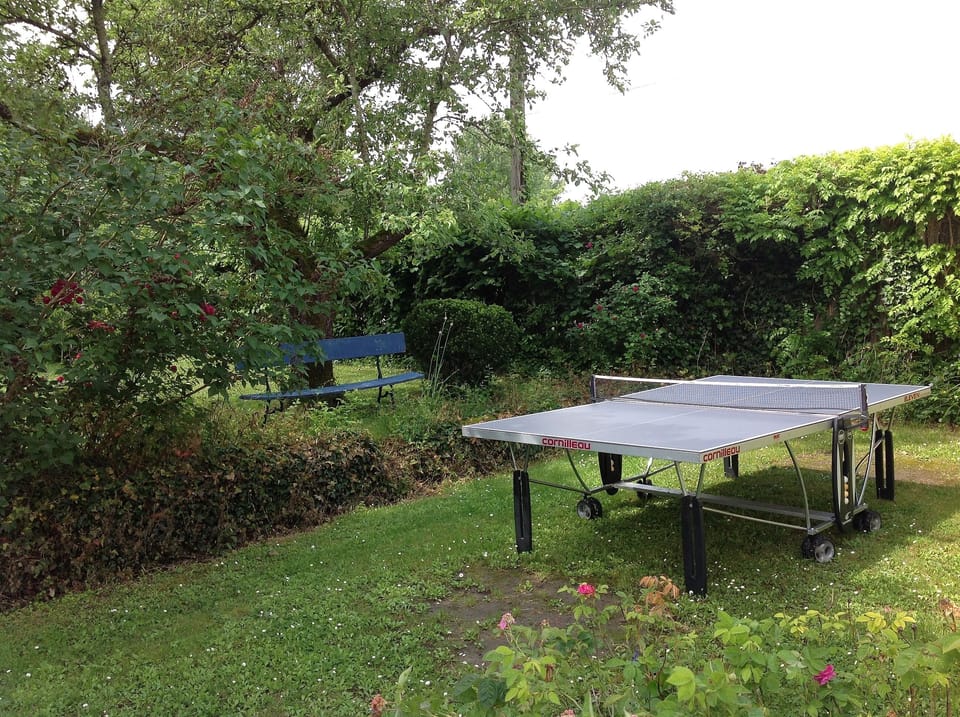 table tennis