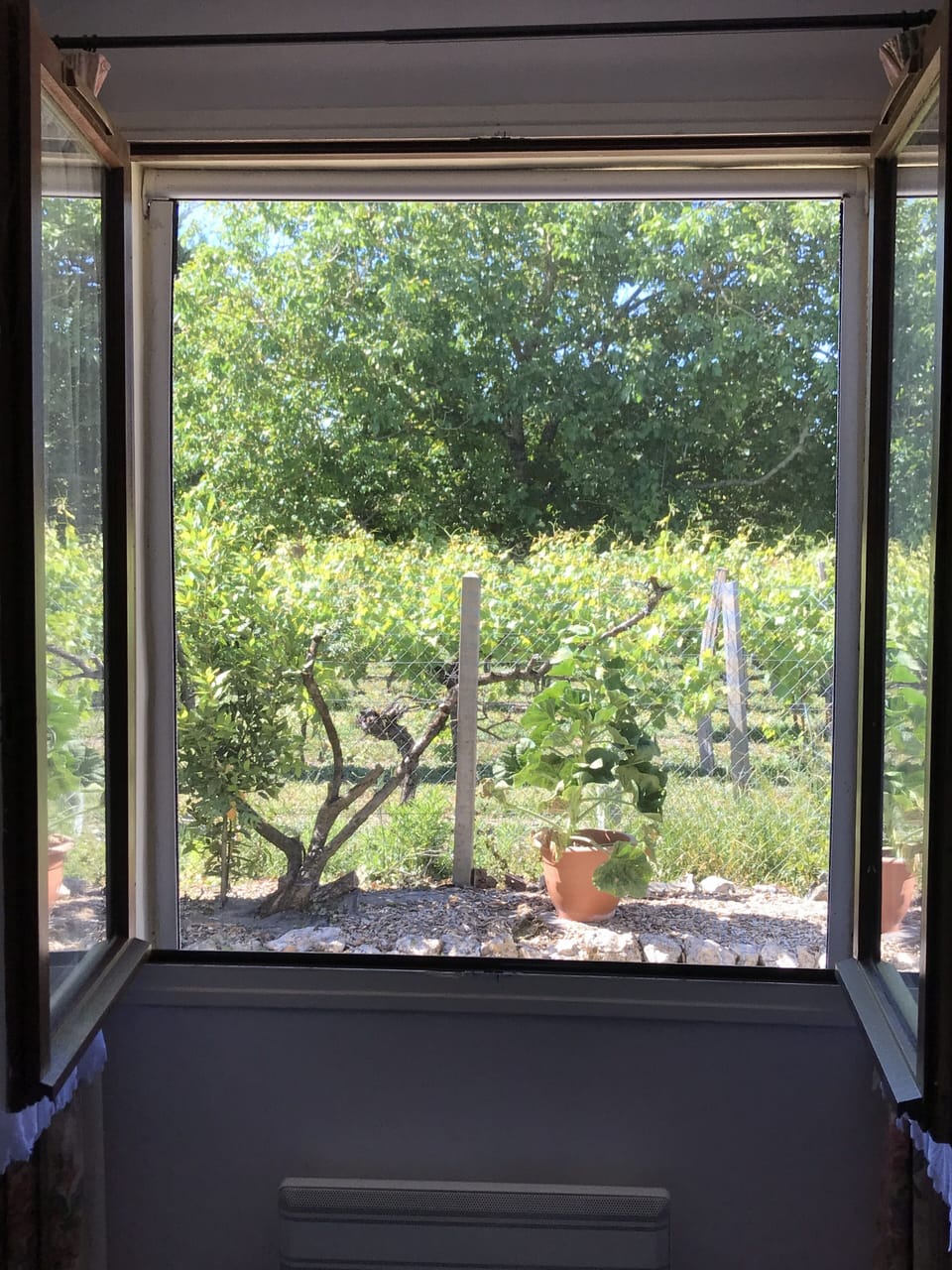 View from Bedroom 1
