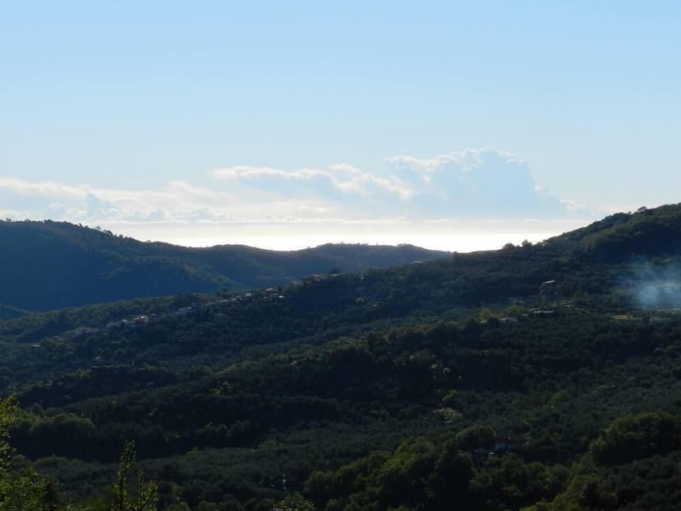 se view