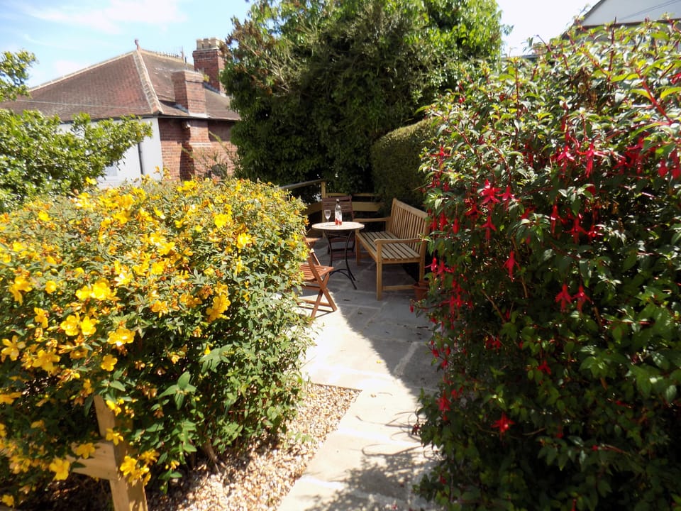 Rear garden patio area