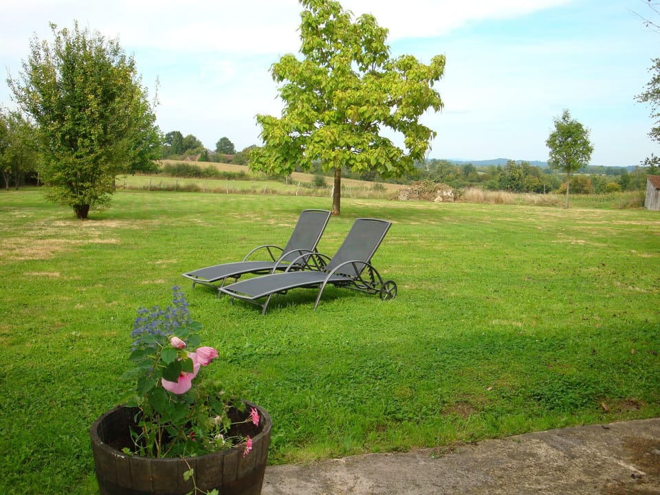 View from the back garden