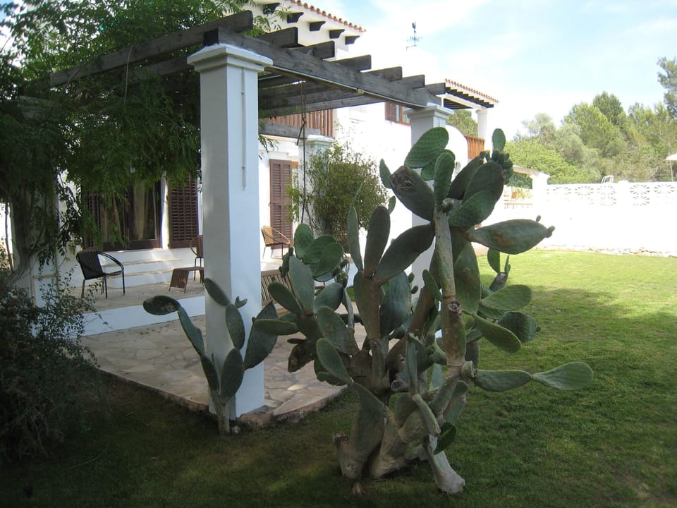 Villa Ibiza cactus