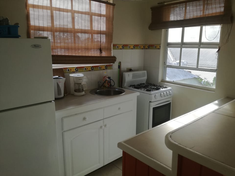 Kitchen area, Chateau Strahclyde