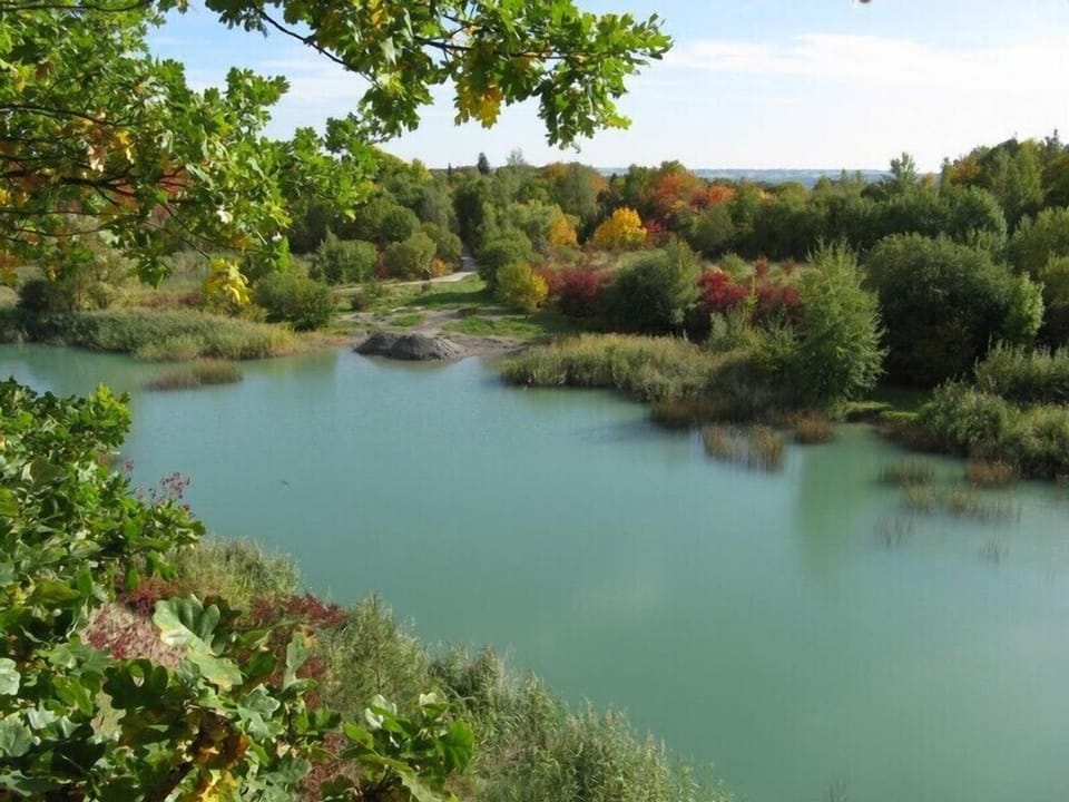 pool in the vicinity