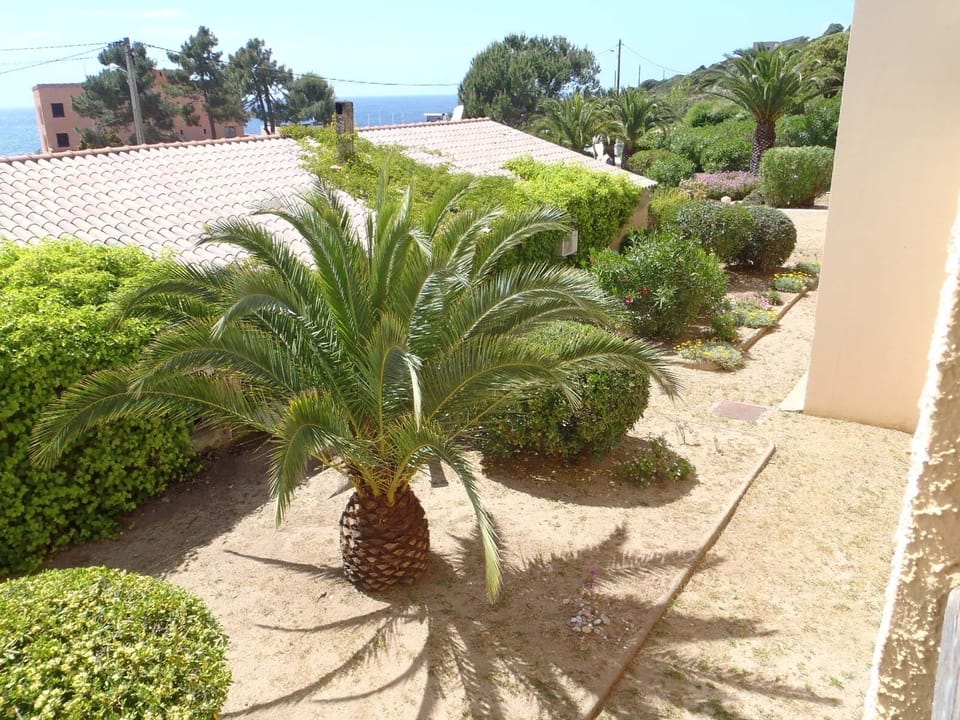 view of the Residence from the terrace