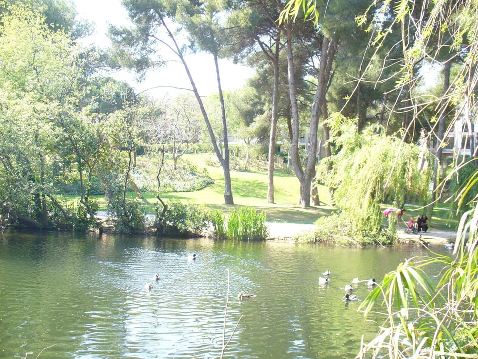 Lake