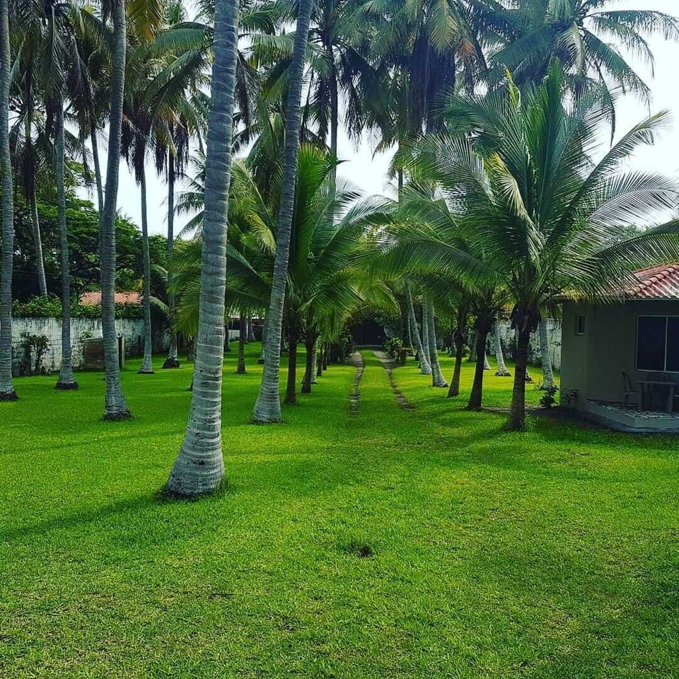Property grounds