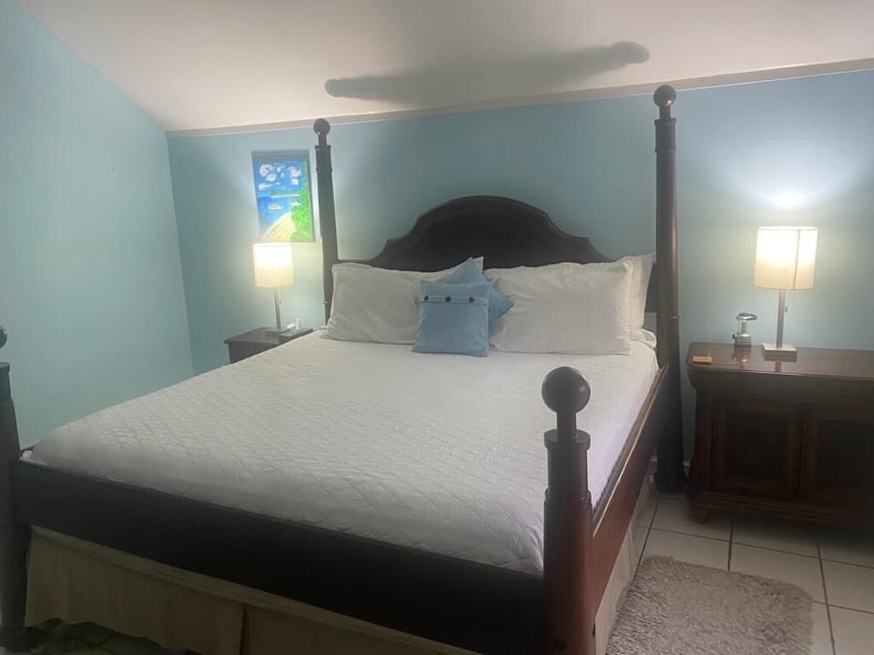 Master suite with king bed