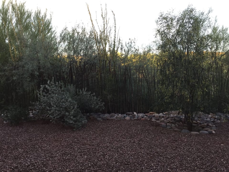 Landscaped yard
