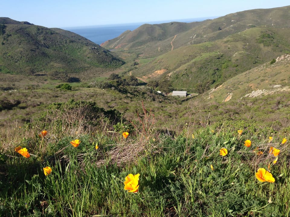 Tennessee Valley hiking trails less than 3 miles from the cottage
