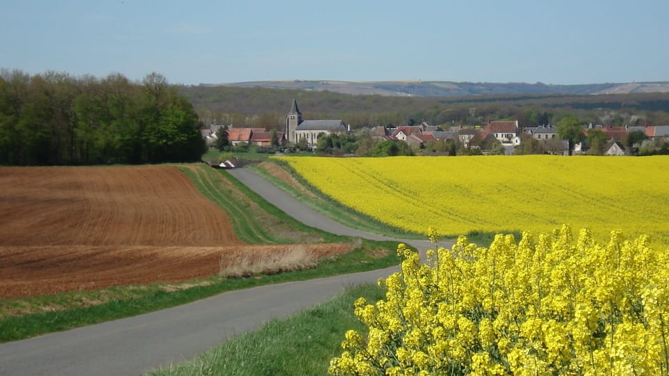 View of Feux