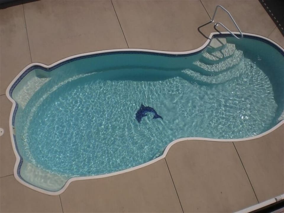 Private Dolphin Pool
