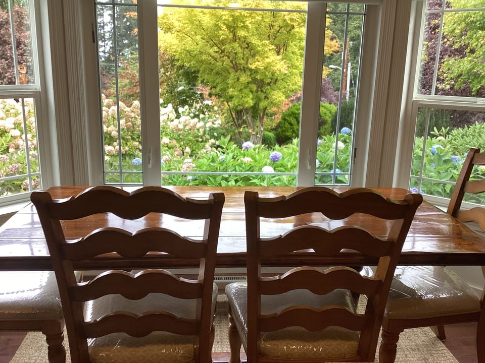 Family room bay window.