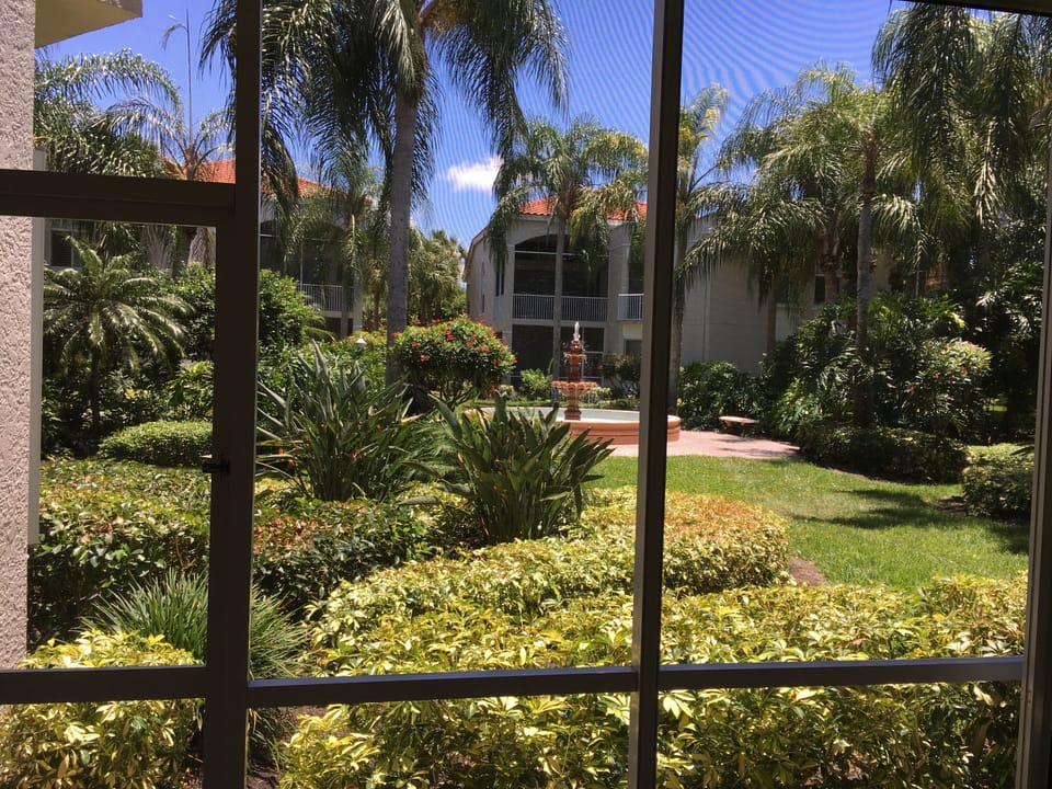 View from Lanai