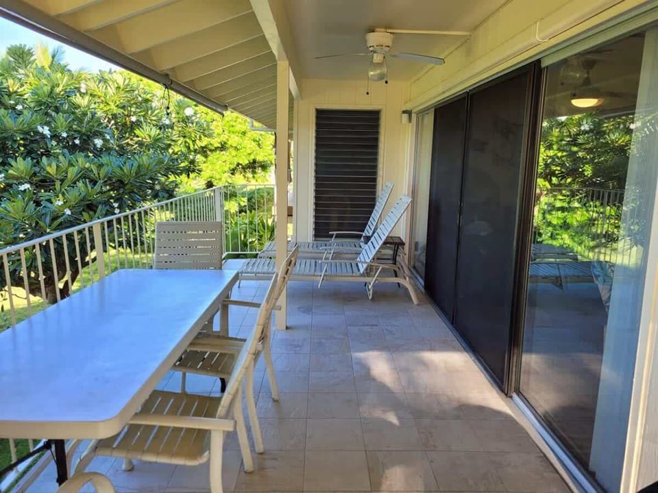 Back lanai table and chairs
