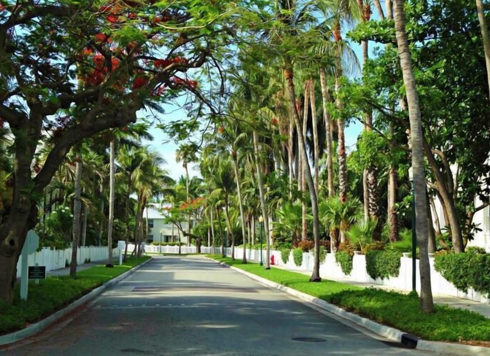 Walk 5 minute through Truman Annex neighborhood to Mallory Square!