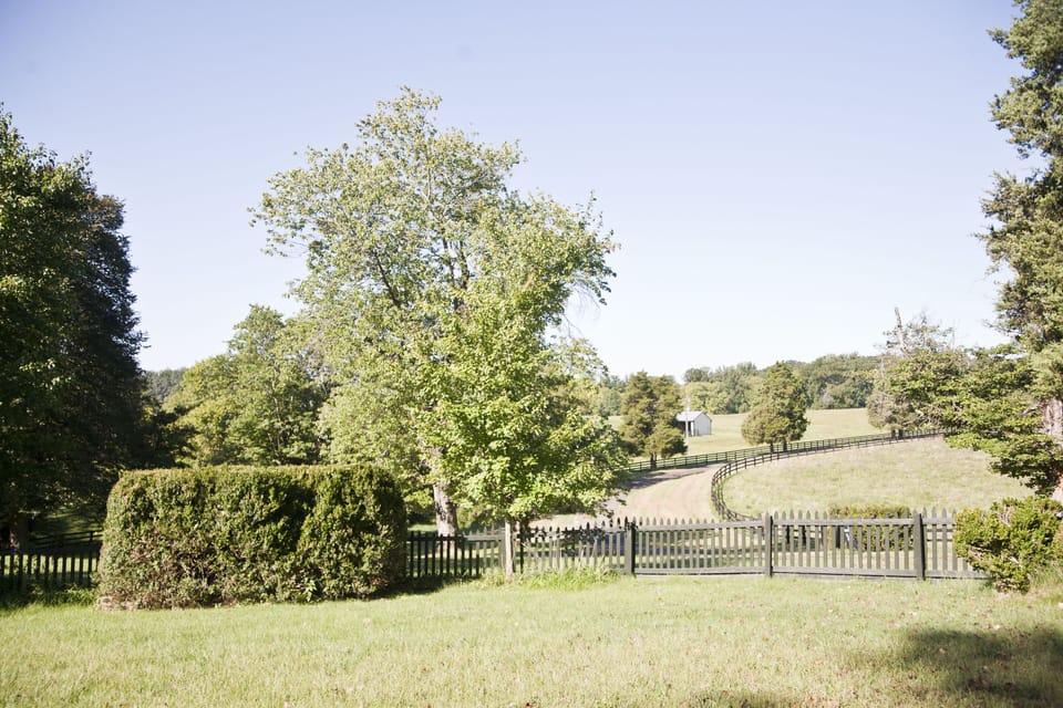 Enjoy stunning views, privacy & comfort 2 miles outside of historic Warrenton