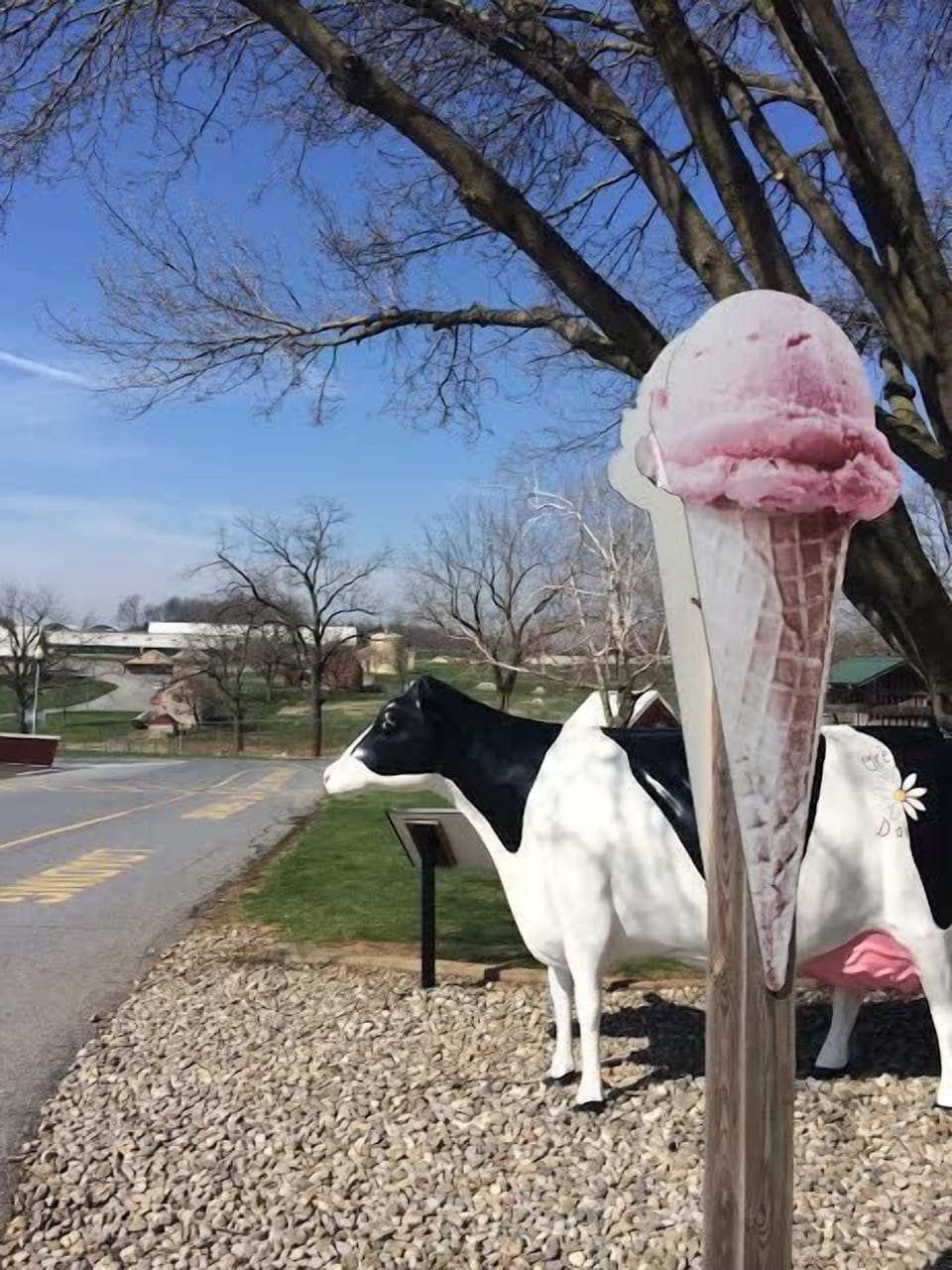 The Oregon Dairy ice cream shop is just a 3 minute drive or 5 minutes by bike!