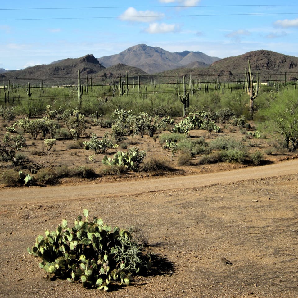 Scenic views from the upstairs windows!
