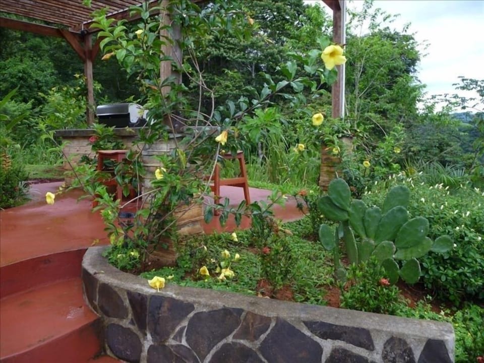 BBQ Area