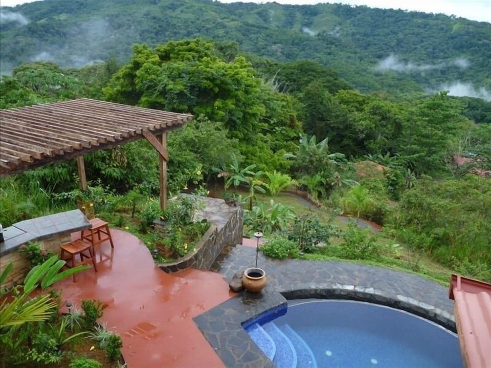 View of Patio, pool and back yard garden area.