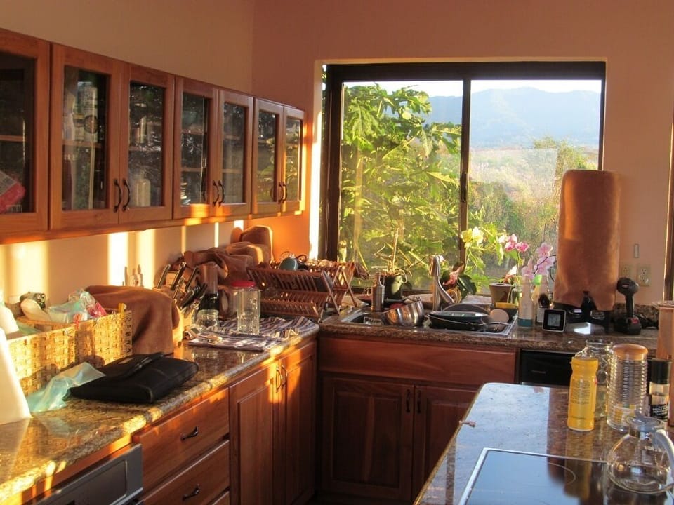 Kitchen teak cabinets and bay window with orchids, papaya tree to left