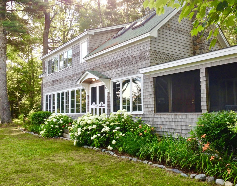 Summer in full bloom