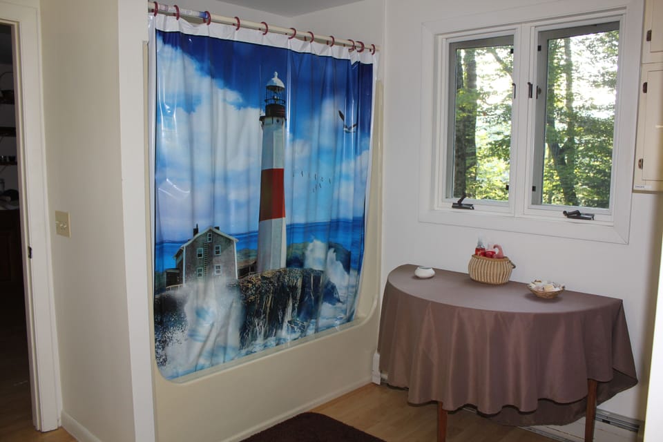 The tub-shower in the large bathroom with view of the West pond.