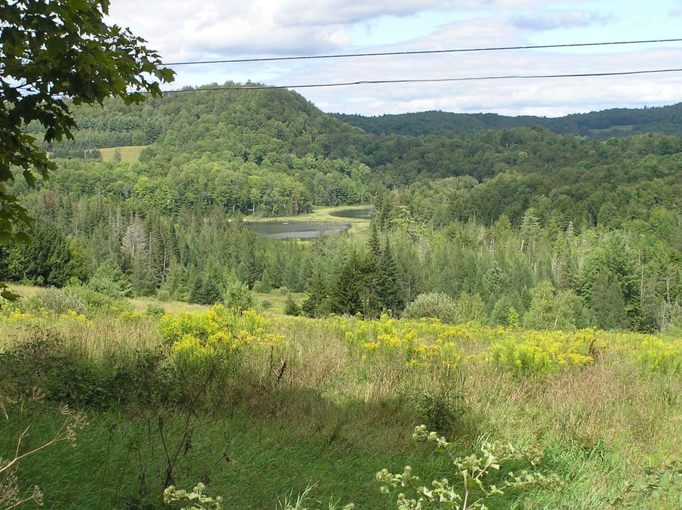 Twin Ponds from afar.