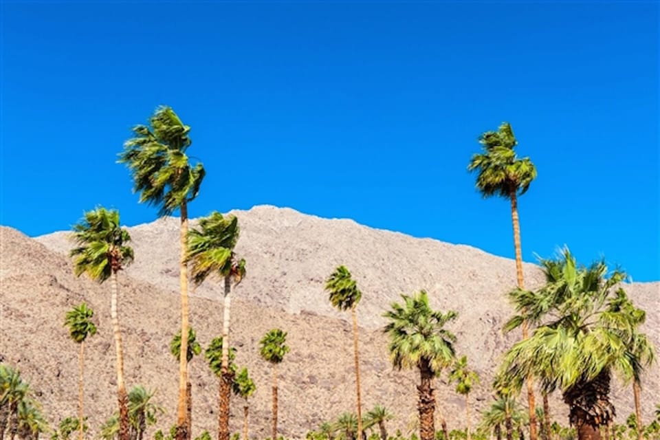 Palm trees, blue skies and mountain views abound