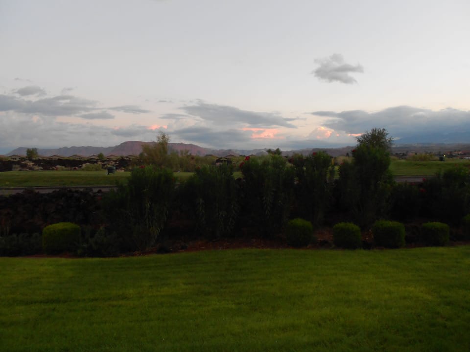 Our view