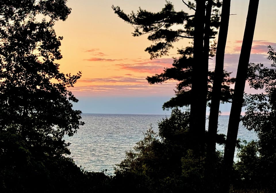 Just Across From the Beach !