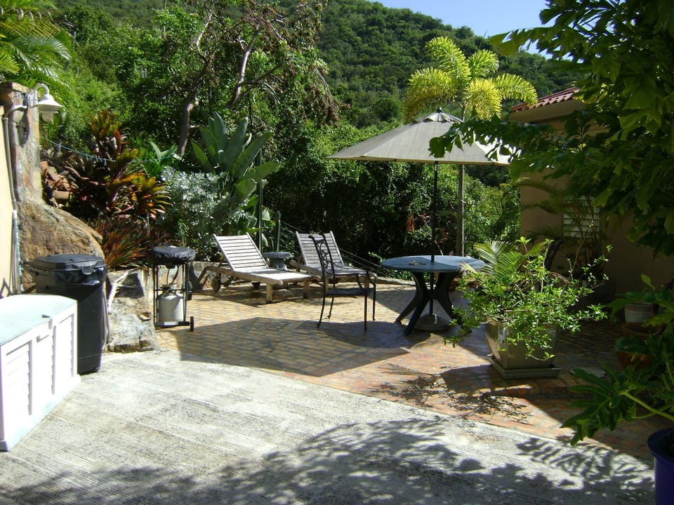PATIO WITH PROPANE GRILL, TEAK LOUNGERS, DINING TABLE 