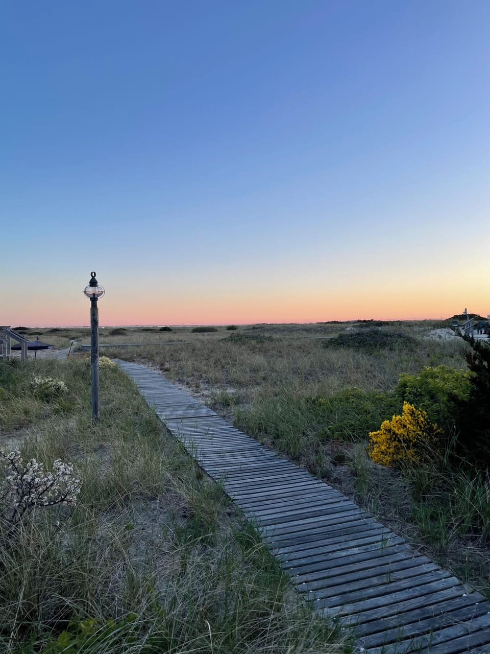 Walk to beach through low dunes