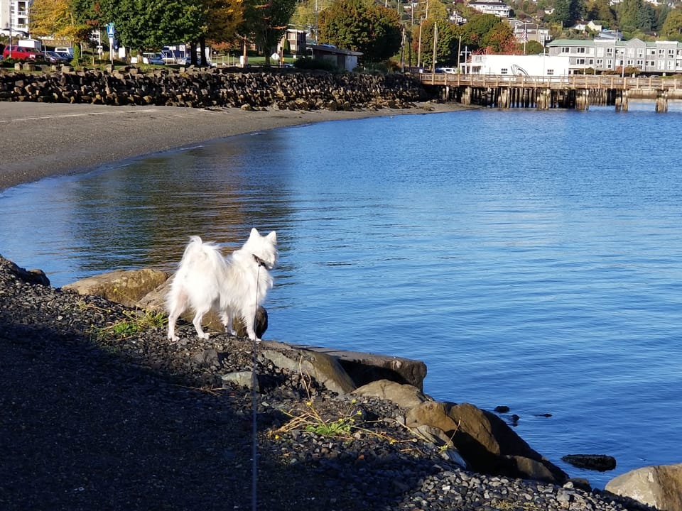 7 minute walk to the bay
