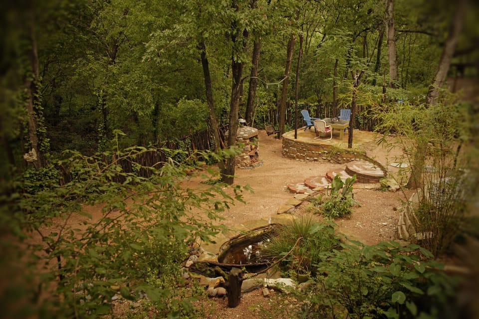 Backyard forest