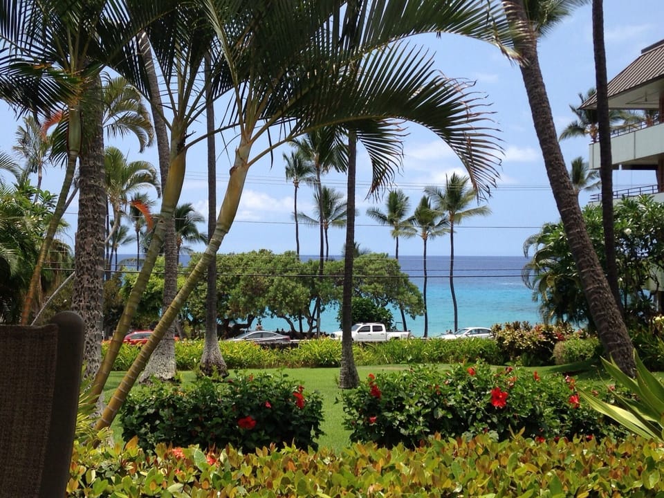 View from the pool
