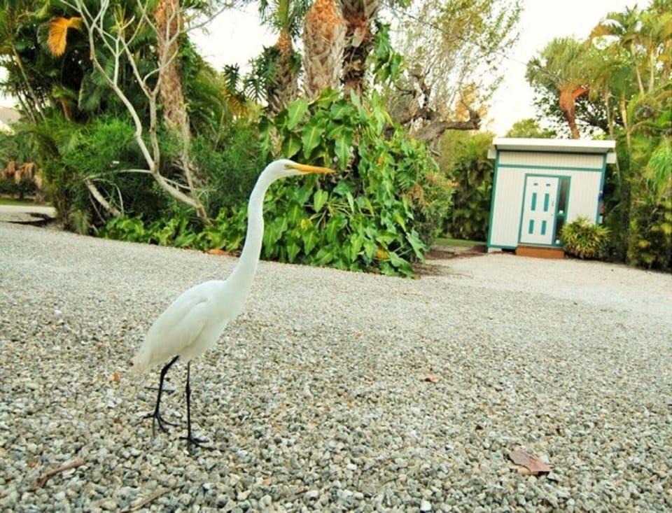 Somebody's already here to greet you!. 