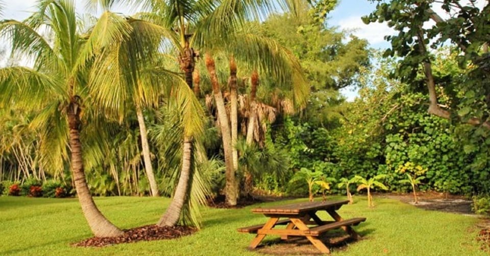 Private backyard with picnic table, BBQ